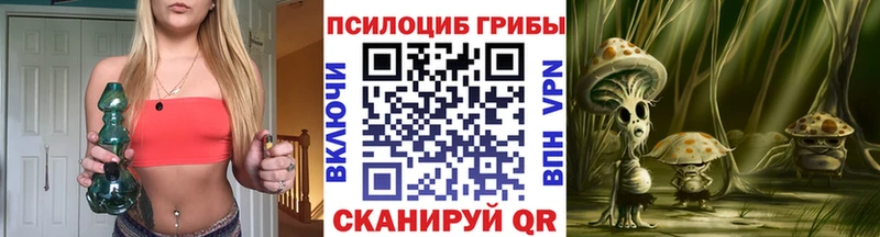 KRAKEN как зайти  Волгоград  Псилоцибиновые грибы Psilocybine cubensis 